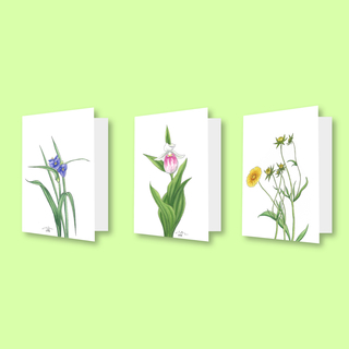 Floral Greeting Cards Set (3 Cards)