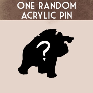 One random acrylic pin