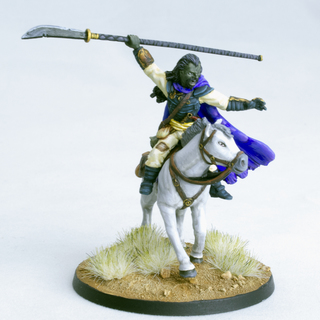 Warlock, Mounted (Caster)