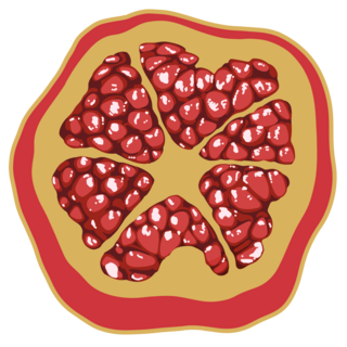 Pomegranite Pin