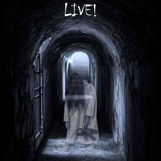 Ghost Hunt Live! (PDF)