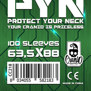 300 Protective sleeves (set of 3 x 100 sleeves)