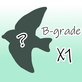 Pre-order B-grade Birdtober 2025 Sticker (Mystery)