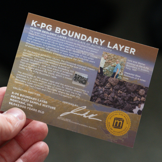 K-Pg Boundary Layer - Death of the Dinosaurs - Display Card