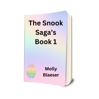 The Snook Sagas: Mysteries to Hold - Book 1 eBook