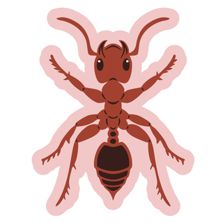 Early Bird- Fire Ant Sticker