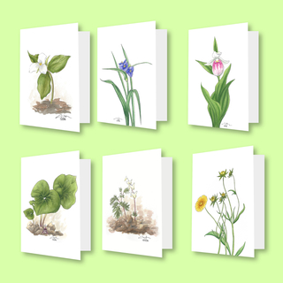 Greeting Card Complete Set