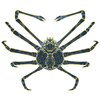 Tarot Acrylic Keychain