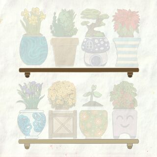 Large Shelf