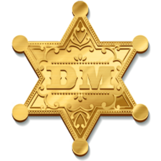 DM Sheriff Star Pin