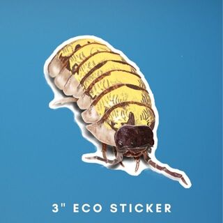 3" Common Pill Woodlouse Sticker