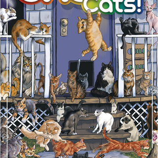OMG CATS! Playing Card Deck