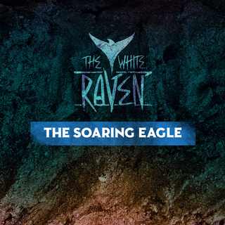 🦅 The Soaring Eagle (~USD $25)