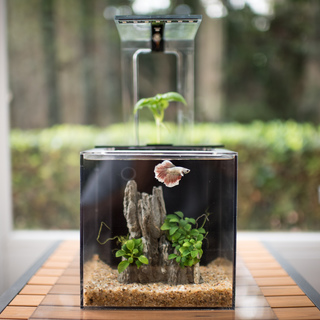 40% OFF Best-Selling EcoQube C Aquarium Starter Kit