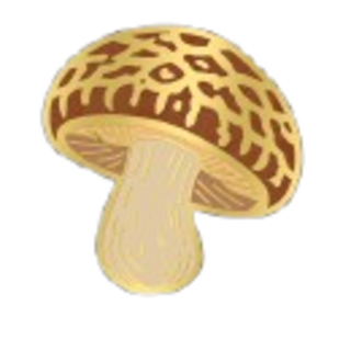 Shitake Mushroom
