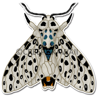 Giant Leopard Moth 3" Vinyl Sticker