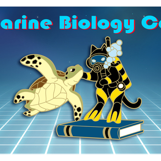 Marine Biology Cat Pin