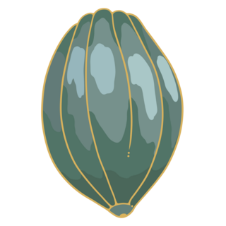 Green Cocoa Pod Pin