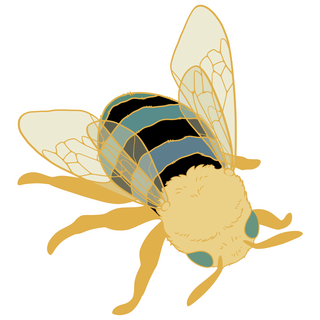 Unlocked Garden Mini Pin Design