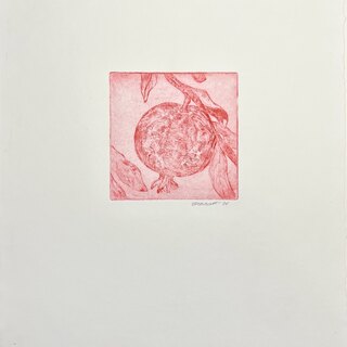 Pomegranate Etching • 8x10"