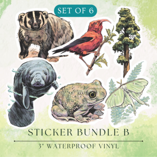 Sticker Set | B - Badger, ʻIʻiwi, Sequoia, Manatee, Spadefoot, Luna Moth