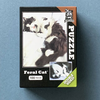 PUZZLE: Feral Cat Mini-Puzzle