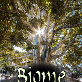 Biome (Print Zine + PDF)