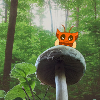 Sprankle the Moth Cat Digital Print