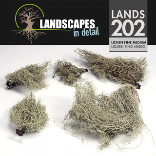 Lichen Fine medium (202)