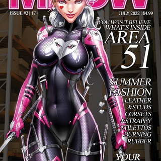 Miss Meow #2 - Cover A - Jamie Tyndall