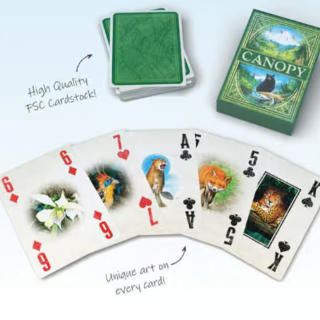 Canopy Evergreen Poker Deck