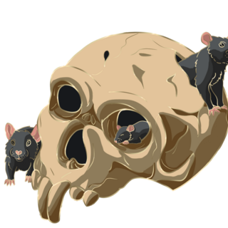 Infested Vampyr skull pin