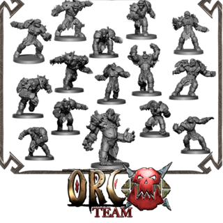 ORC TEAM