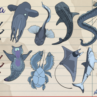 Mini Pin Mystery Bag