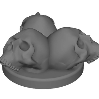 3D Skull marker