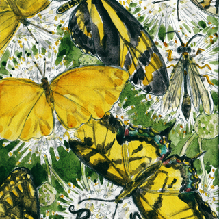Print of "Belonging"