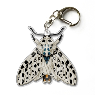 Giant Leopard Moth 2.5" Acrylic Keychain Charm