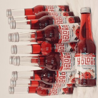 Yozobo Drink in a Bottle (Packs of 12 Bottles each)