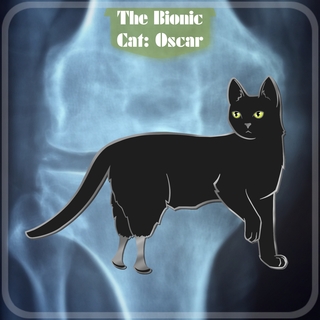 Oscar The Bionic Cat Pin