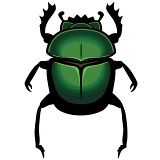 Egyptian Scarab Beetle 2.5" XL pin