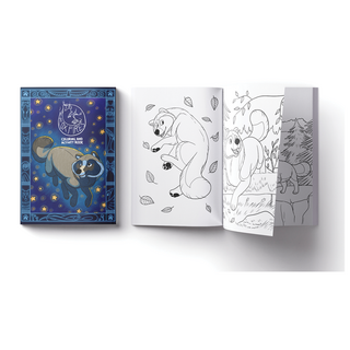 Fox Fires Coloring And Activity Book