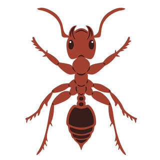 Fire Ant Dyed Metal 1.5" mini pin