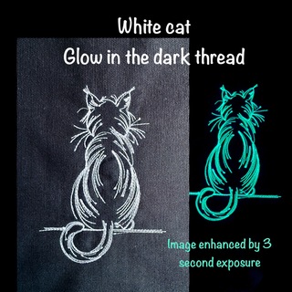 Glow in the Dark Cat banner