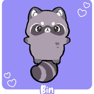 Bin the Raccoon | Big Plush