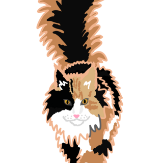 On the Catwalk custom pin