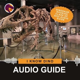 Dinosaur Rookies Class of 2025 audio guide