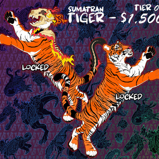 Sumatran Tiger