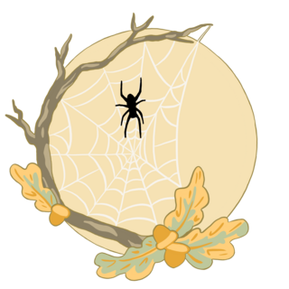 Spider-Moon