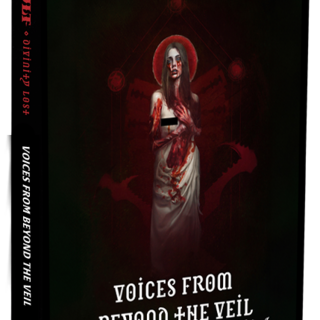 Voices from Beyond the Veil [PRINT]