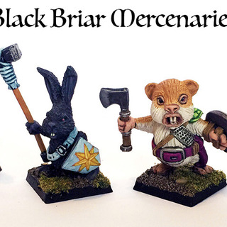 Black Briar Mercenaries